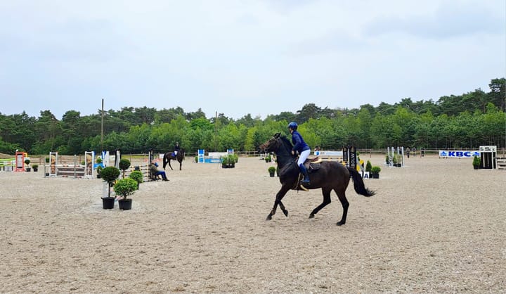 Paardensport aan de Soeverein
