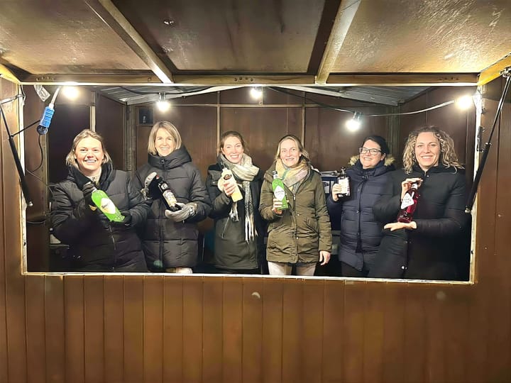 Winterbos bij 'De Schommel'