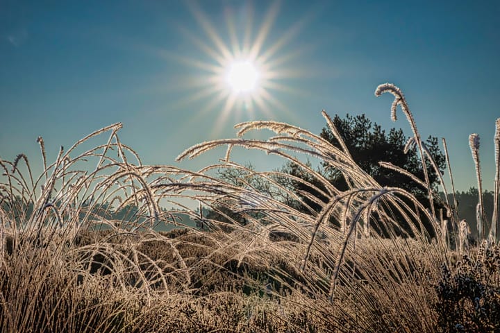 Winterse natuur op een woensdag