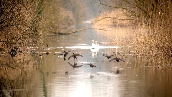 Lente in zicht?