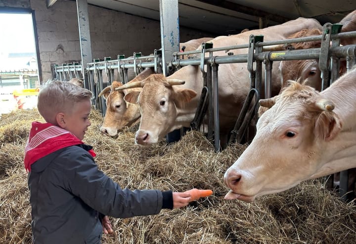 Geslaagde eerste paasweek 'Blij op de boerderij' bij vzw Het Groeiveld
