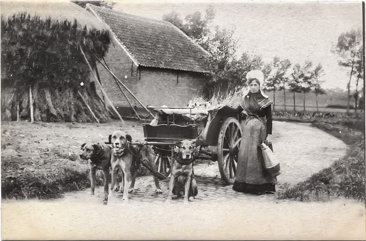 Met hond, paard en kar...