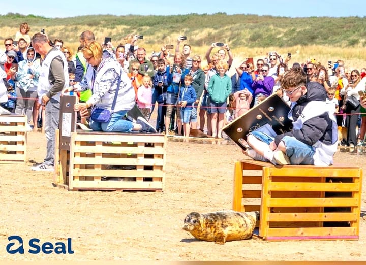Campus X plus adopteert een zeehond