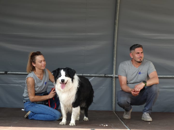 Opendeurdag bij het Dierenasiel lokt heel wat publiek