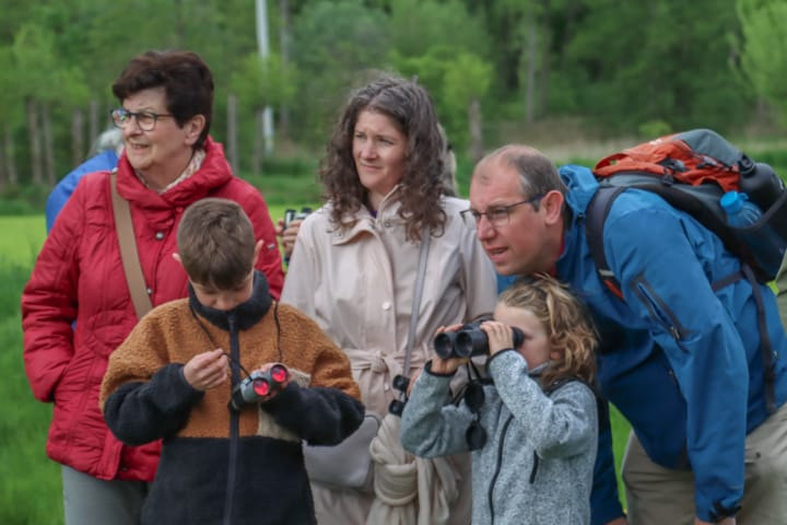 Vogels herkennen bij Natuurpunt