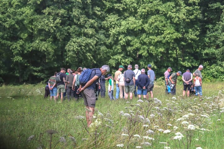 Dagvlinders en meer tijdens themawandeling op de Vloeiweides