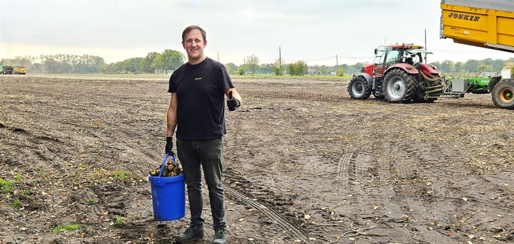 Aardappelen rooien