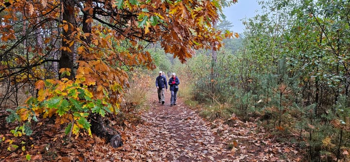 Hoeverbergentocht lokt 637 wandelaars