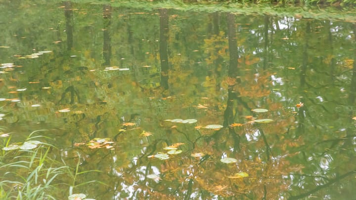 De herfst is nu écht ingetreden