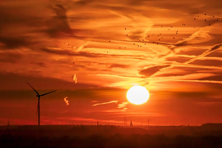 Vroege Ochtend in de Lommelse Sahara...