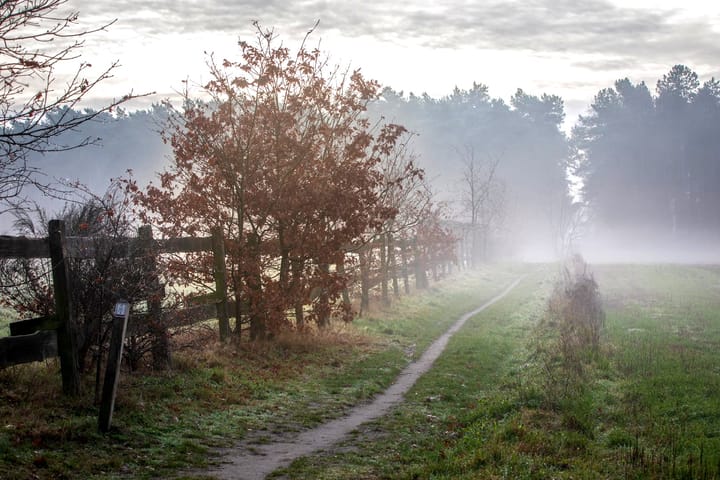 Verpozing tussen alle kerstfeesten door