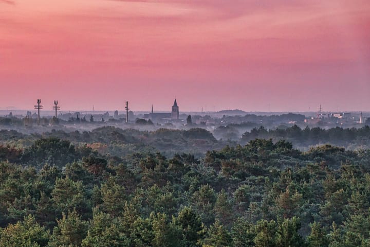 Blue Monday in Bosland: wanneer de natuur even stilvalt