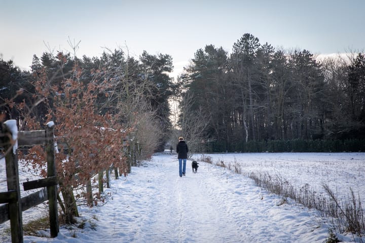 Sneeuwoto's van Leon