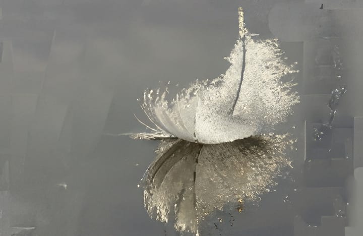 Vivianne Kog overleden