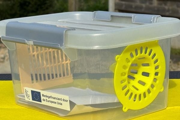 Help de Aziatische hoornaar bestrijden - vraag je gratis hoornaarval aan