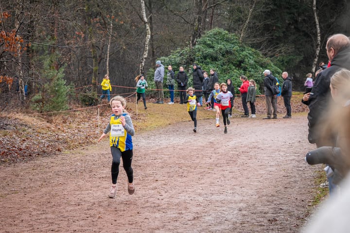 Succesvolle Veldloop van DALO