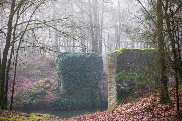 Wandelen op de Kolonie...
