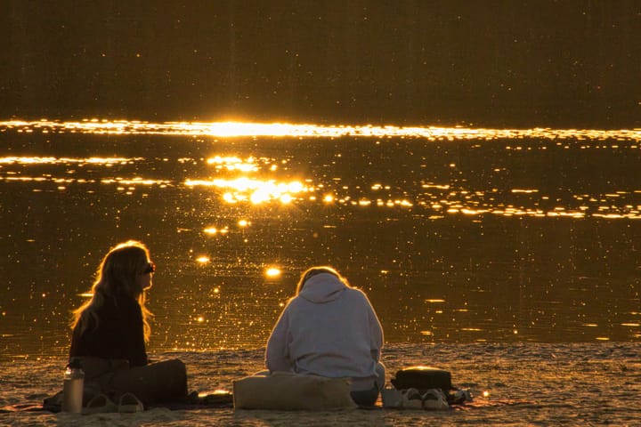 Gouden uur in de Lommelse sahara