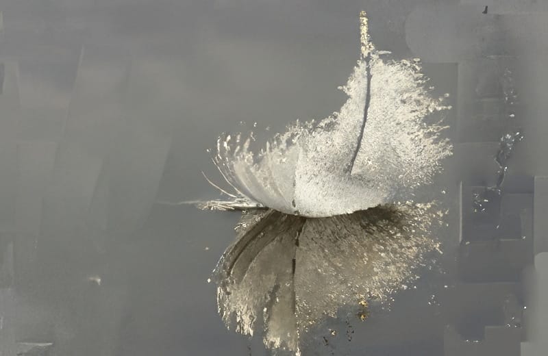 Toos Davits overleden