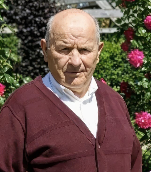 Louis Vreys overleden